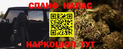 МДПВ Краснознаменск