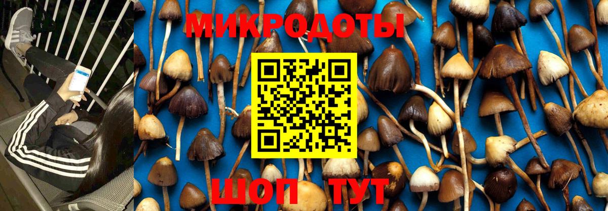 Галлюциногенные грибы GOLDEN TEACHER  Вход с VPN  Псилоцибиновые грибы Psilocybe  Шелехов 